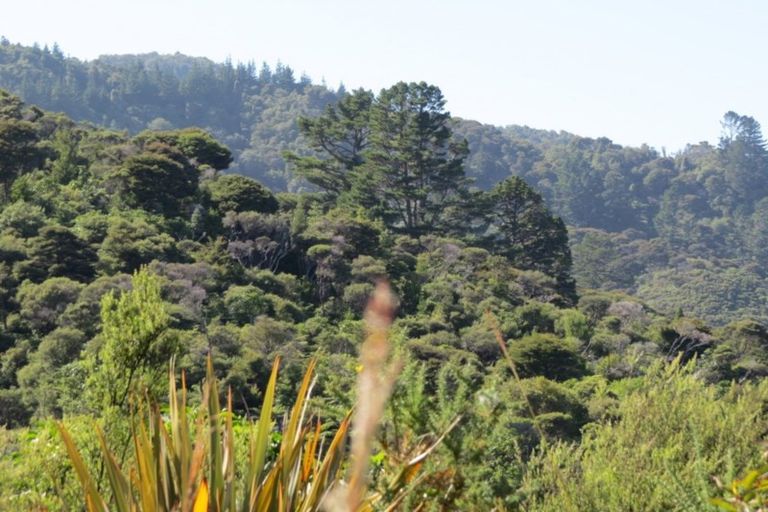 Photo of property in 1090 Driving Creek Road, Coromandel, 3583