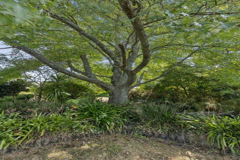 Photo of property in 78 Russell Road, Huntly, 3700