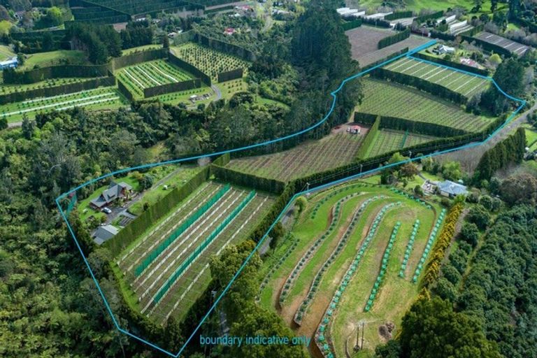 Photo of property in 29 I'anson Road, Minden, 3179