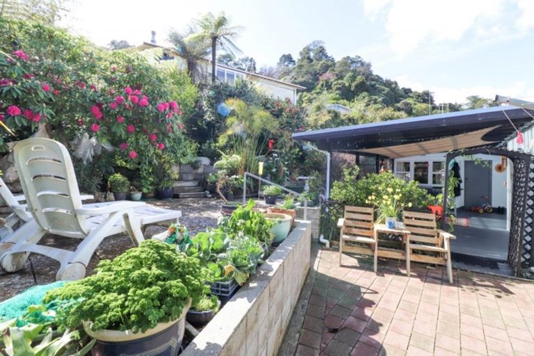 Photo of property in 109 Campbell Street, Thames, 3500