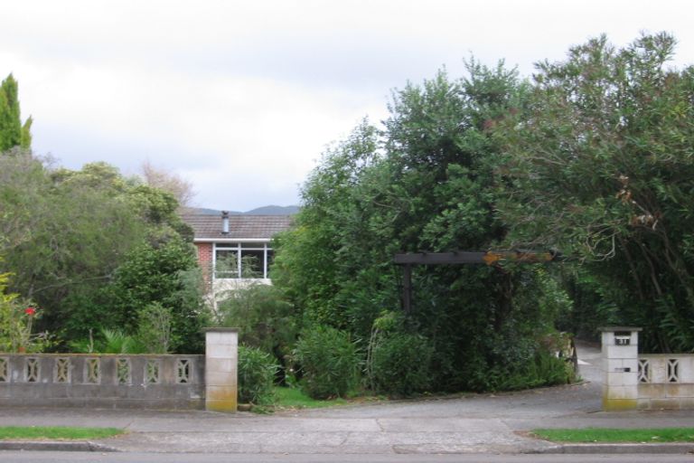 Photo of property in 31 Park Avenue, Waikanae, 5036