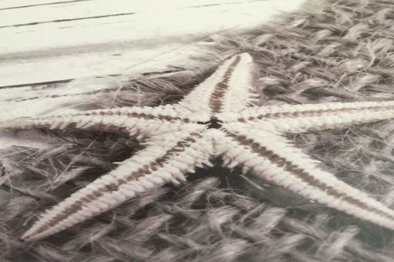 Photo of property in 4 Okiwa Place, Anakiwa, Picton, 7281