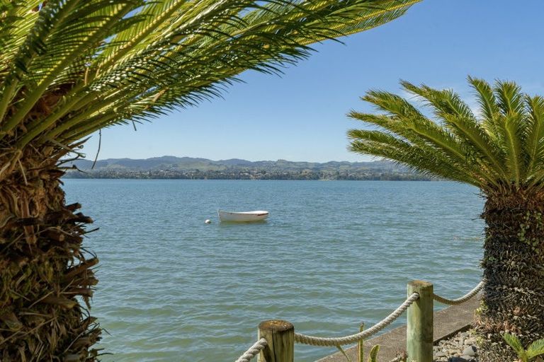 Photo of property in 5a Sixth Avenue, Tauranga, 3110