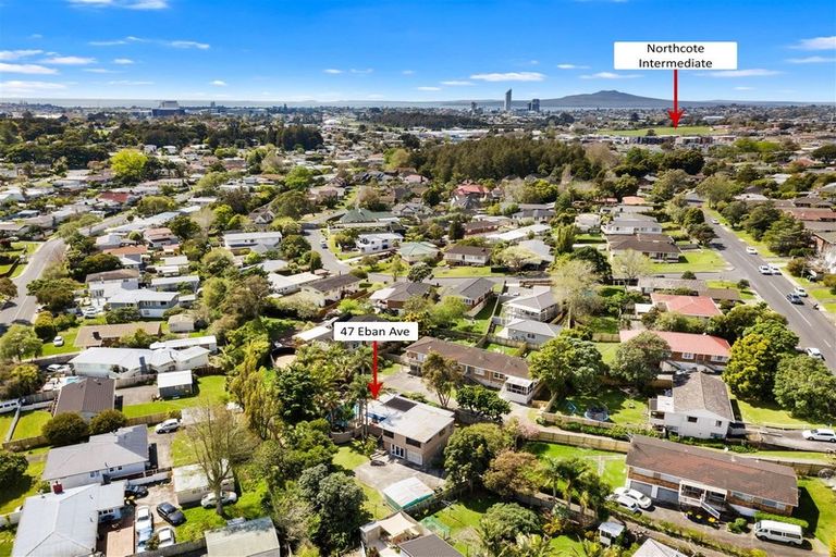Photo of property in 47 Eban Avenue, Hillcrest, Auckland, 0627