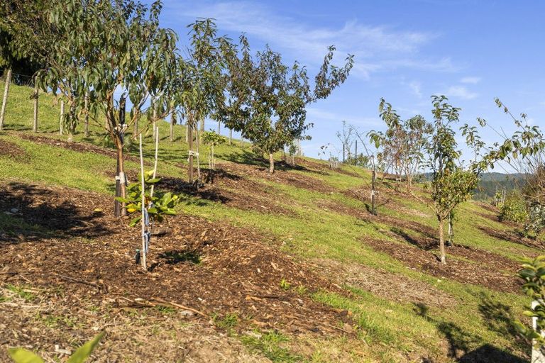 Photo of property in 1411a Upper Ohauiti Road, Ohauiti, Tauranga, 3173