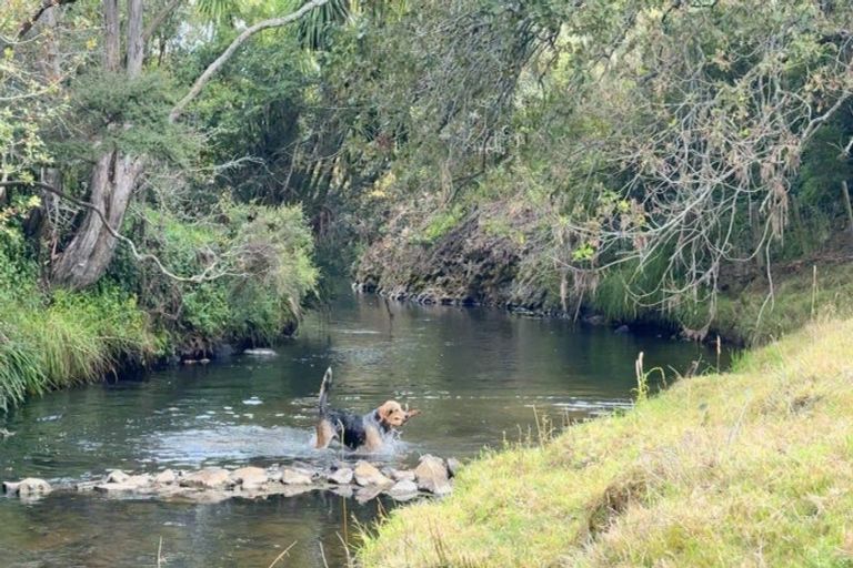 Photo of property in 451 Okete Road, Raglan, 3295