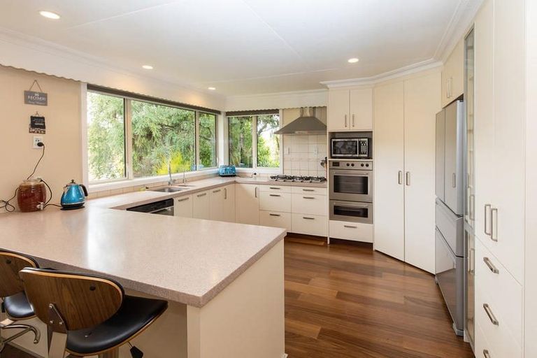 Photo of property in 77 Glenross Street, Glenross, Dunedin, 9011