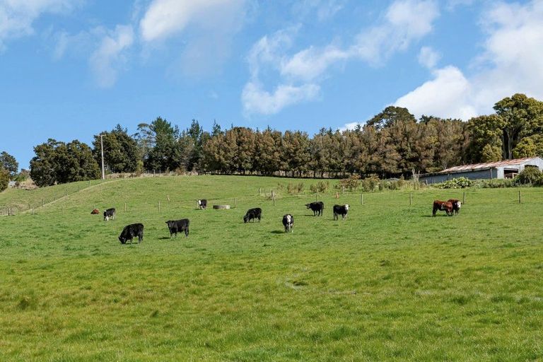 Photo of property in 122 Iranui Road, Inner Kaiti, Gisborne, 4010