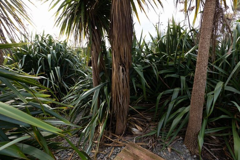 Photo of property in Drummond Street, Eketahuna, 4900