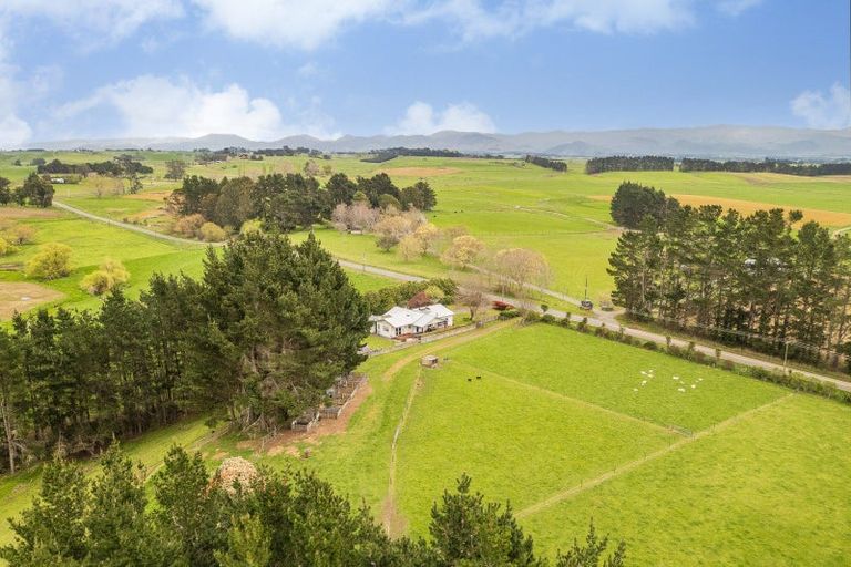 Photo of property in 331 Ormondville Road, Takapau, 4287