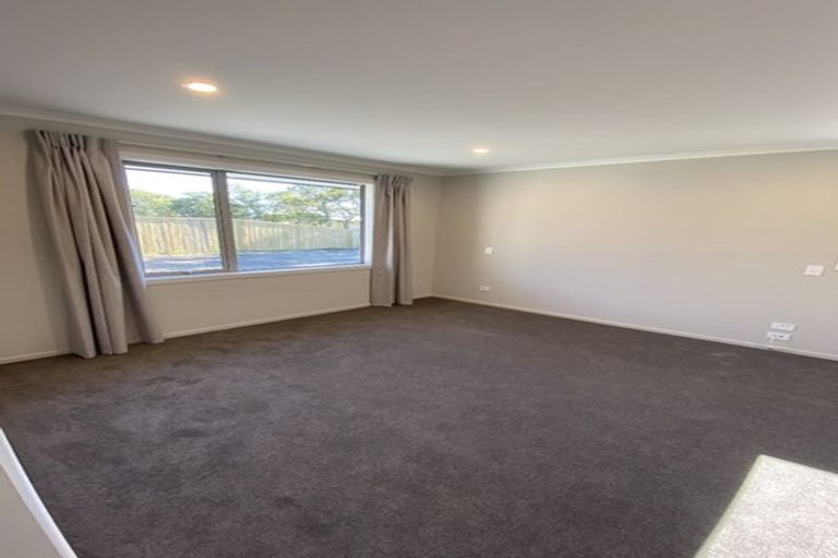 Photo of property in 17 Oakdale Grove, Richmond, 7020