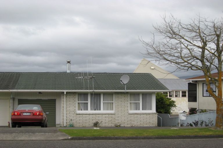 Photo of property in 138 Winchester Street, Levin, 5510