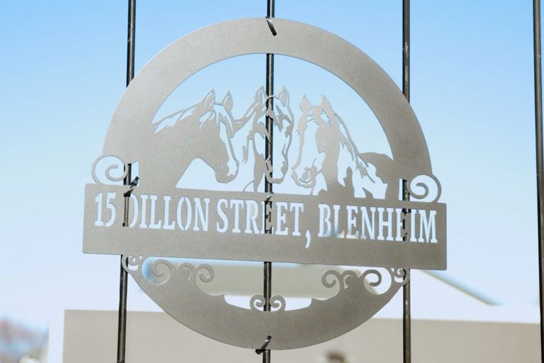 Photo of property in 15 Dillon Street, Blenheim, 7201