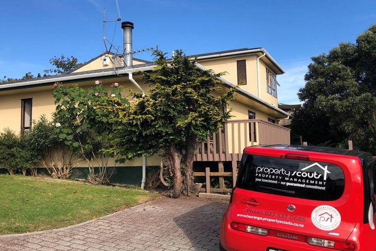 Photo of property in 204b Ohauiti Road, Ohauiti, Tauranga, 3112