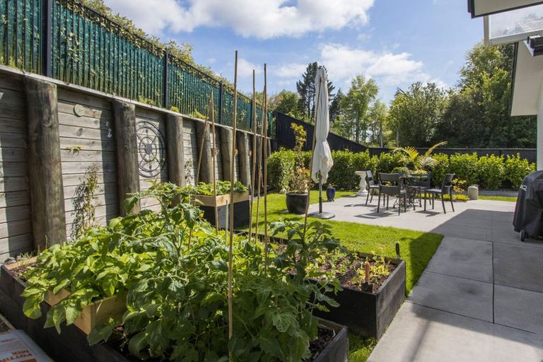 Photo of property in 9 Mural Drive, Katikati, 3129