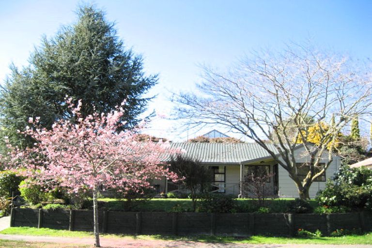 Photo of property in 83 James Cook Street, Havelock North, 4130