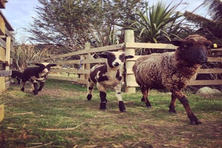 Photo of property in 379 Blue Spur Road, Blue Spur, Hokitika, 7882