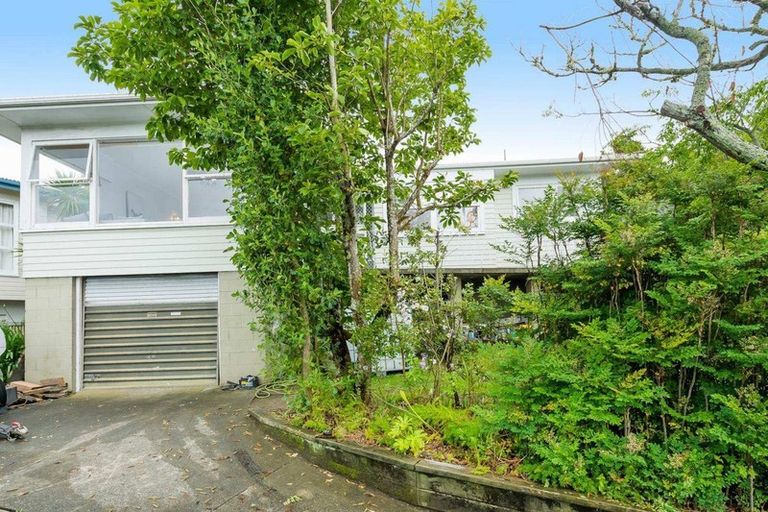 Photo of property in 50 Potter Avenue, Northcote, Auckland, 0627
