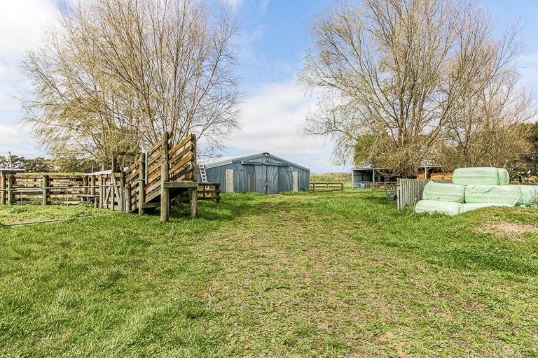 Photo of property in 358 Foxton Shannon Road, Foxton, 4893