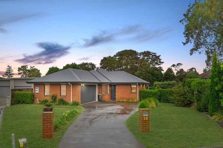 Photo of property in 14 Burmester Place, Morrinsville, 3300