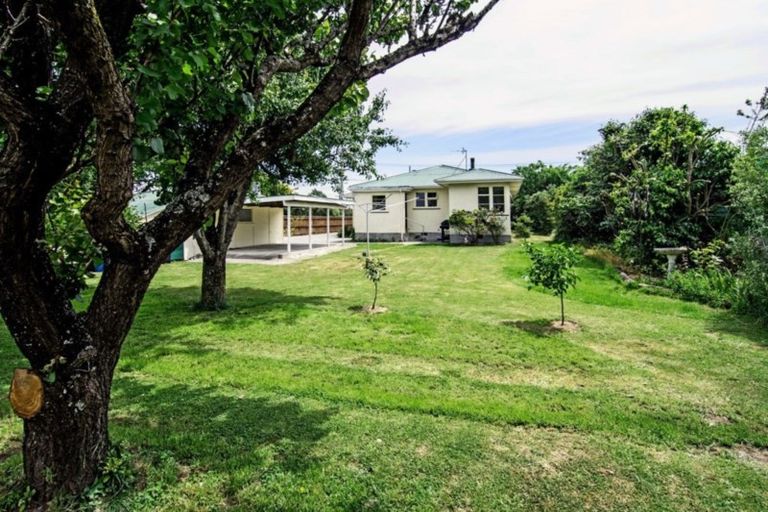 Photo of property in 50 Gordon Street, Lansdowne, Masterton, 5810