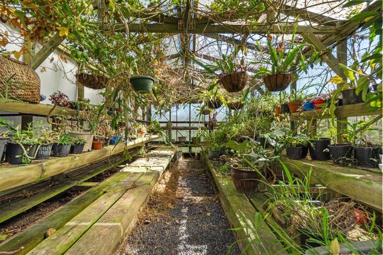 Photo of property in 55 Government Road, Raglan, 3225