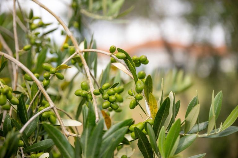 Photo of property in 178 Horton Road, Tasman, Upper Moutere, 7173