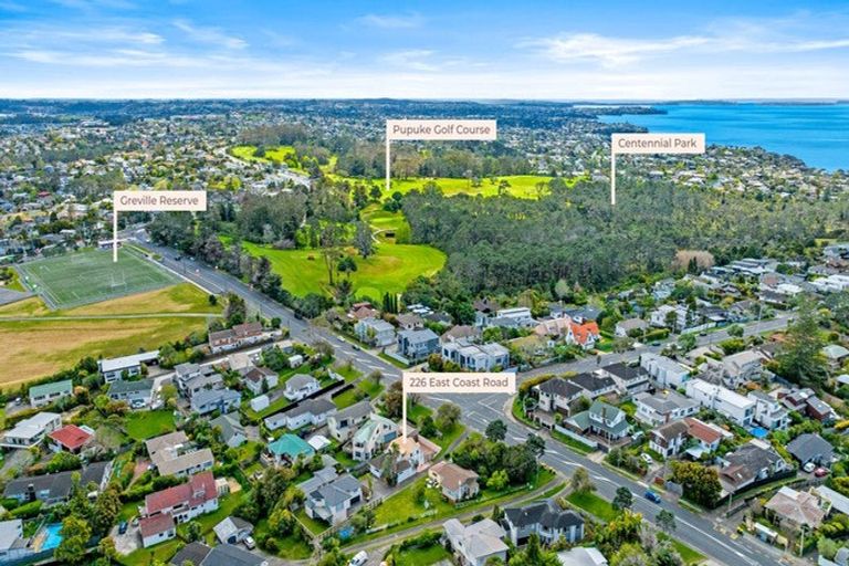 Photo of property in 226 East Coast Road, Forrest Hill, Auckland, 0620