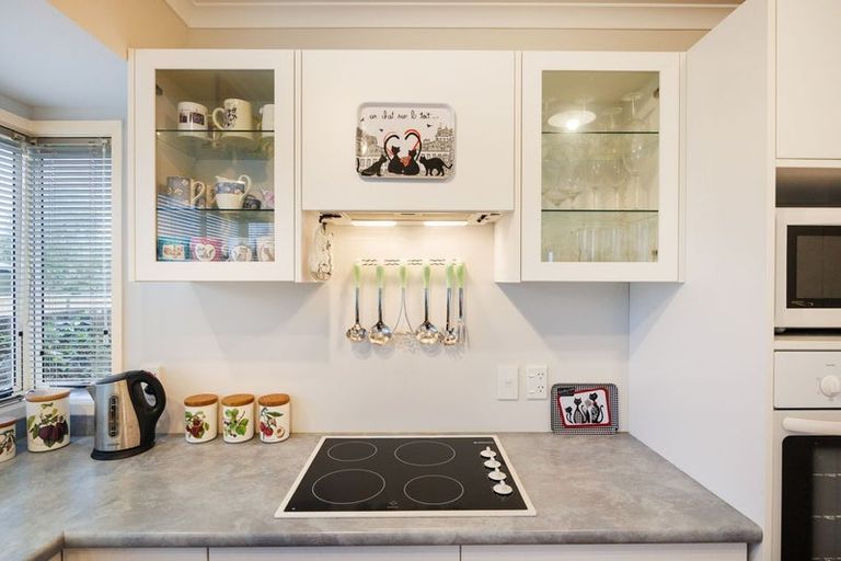 Photo of property in 1 Eton Place, Terrace End, Palmerston North, 4410