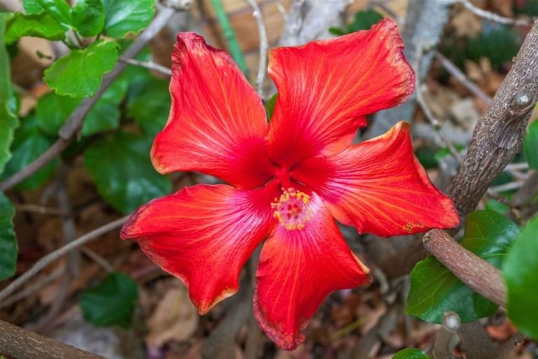 Photo of property in 3 Kudu Drive, Whitianga, 3510