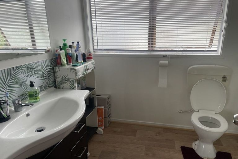 Photo of property in 107 Hyperion Drive, Randwick Park, Auckland, 2105