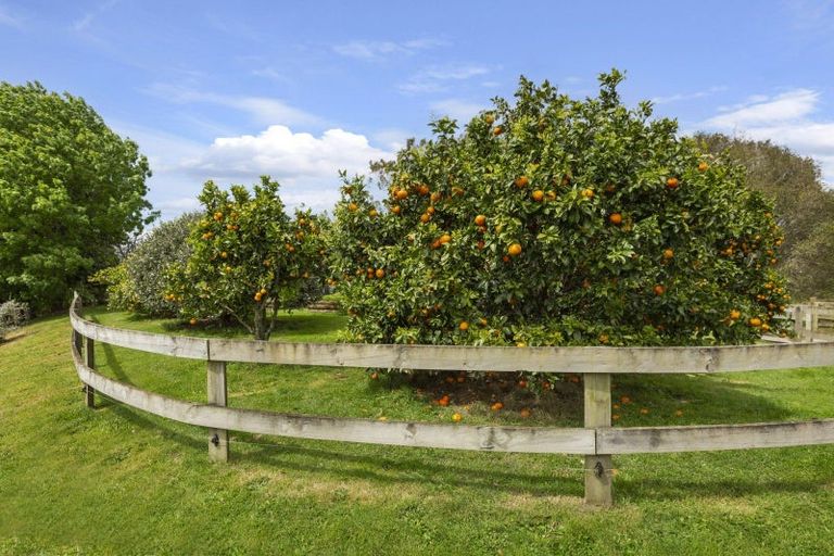 Photo of property in 168 Te Puroa Road, Ngaruawahia, 3793