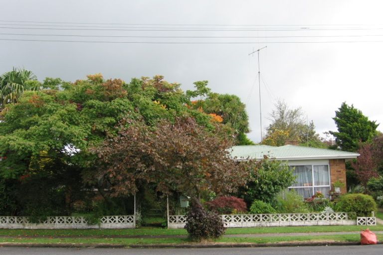 Photo of property in 86 Papanui Street, Tokoroa, 3420