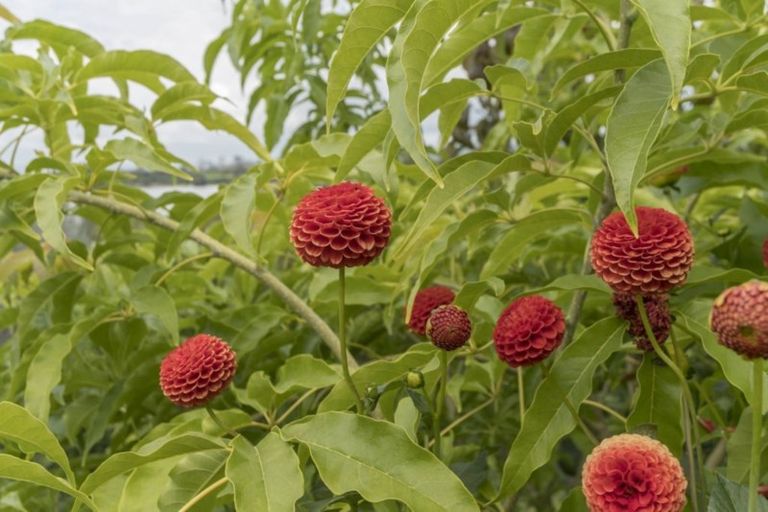 Photo of property in 71 Margaret Drive, Omokoroa, 3114