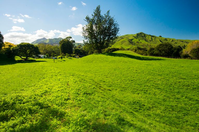 Photo of property in 596 Riverside Road, Matokitoki, Gisborne, 4071