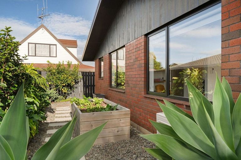 Photo of property in 2/419 Maunganui Road, Mount Maunganui, 3116