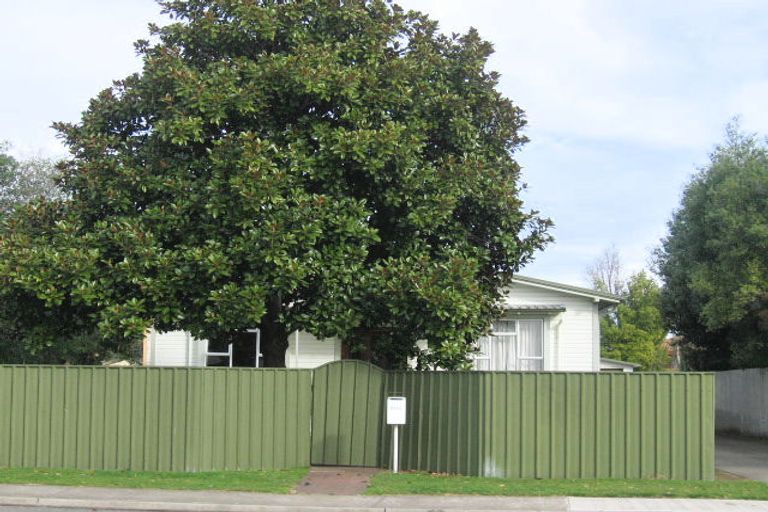 Photo of property in 802 Williams Street, Mahora, Hastings, 4120