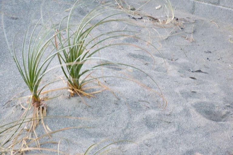 Photo of property in 2/100 Lyall Parade, Lyall Bay, Wellington, 6022