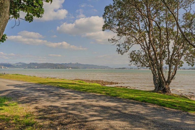 Photo of property in 183 Buffalo Beach Sh25 Road, Whitianga, 3510