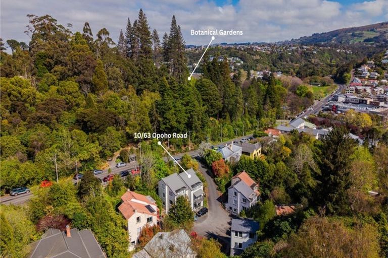 Photo of property in 63 Opoho Road, North East Valley, Dunedin, 9010
