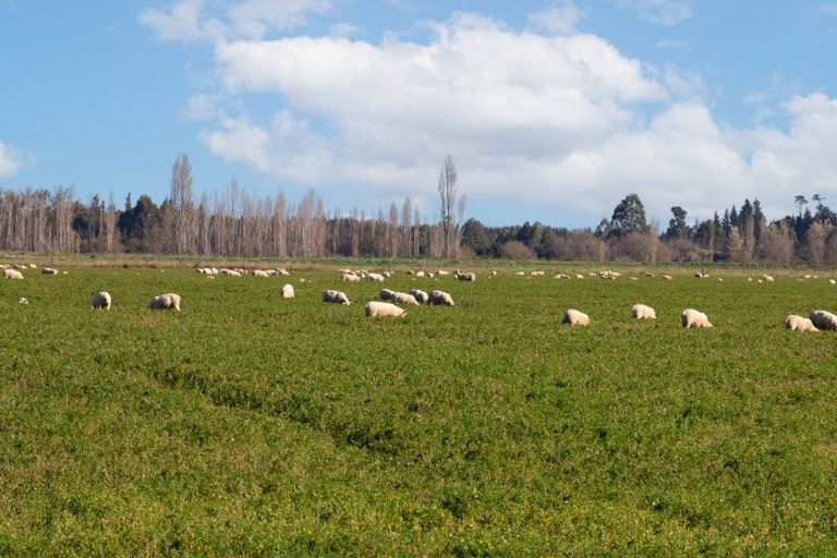 Photo of property in 197 Maindonalds Road, West Eyreton, 7475