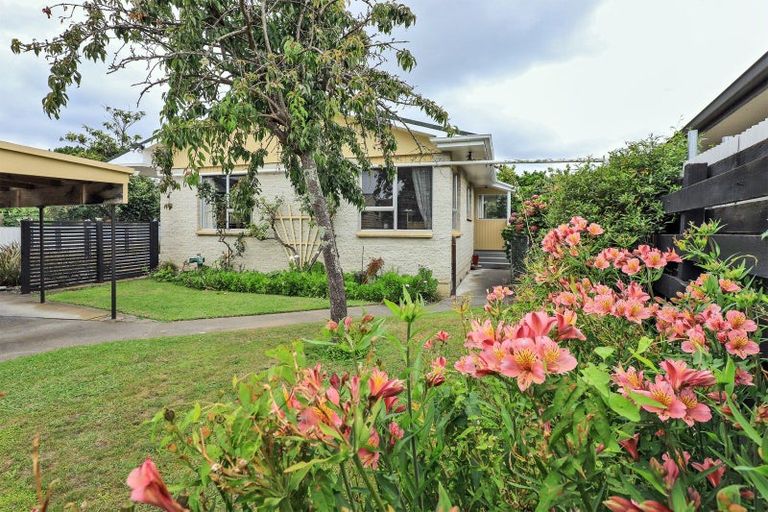 Photo of property in 808a Gordon Road, Raureka, Hastings, 4120