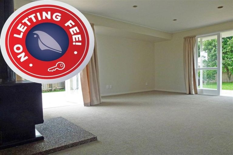 Photo of property in 19 Matai Street, Waiuku, 2123