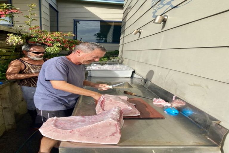 Photo of property in 21 Orete Point Road, Waihau Bay, Te Kaha, 3199