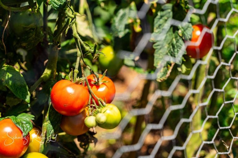 Photo of property in 4 Hebe Lane, Maungaturoto, 0520