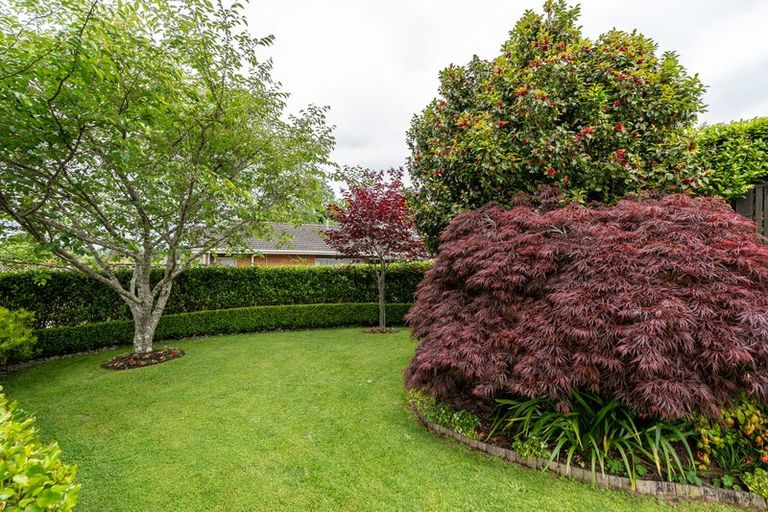 Photo of property in 31 Resthill Crescent, Glenview, Hamilton, 3206