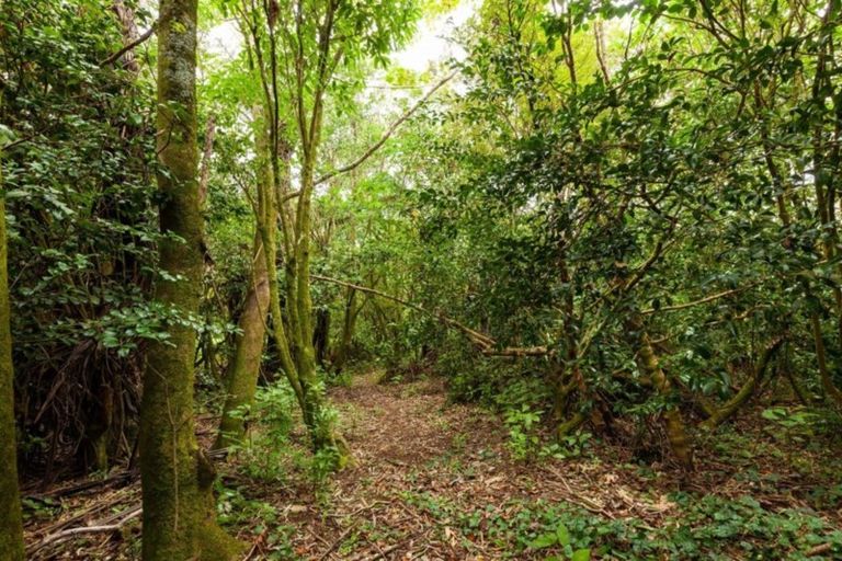 Photo of property in 695 Carrington Road, Hurworth, New Plymouth, 4371