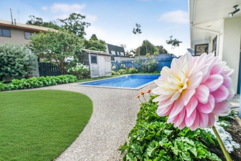 Photo of property in 51 Glen Lynne Avenue, Queenwood, Hamilton, 3210