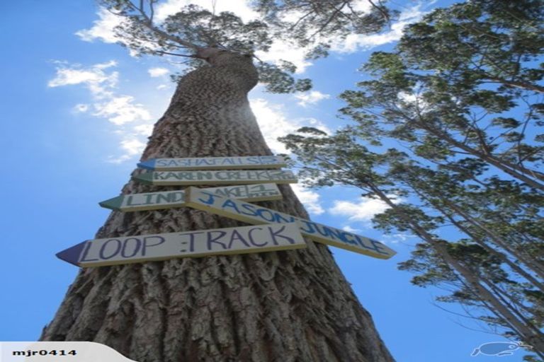 Photo of property in 59 Harbour View Rise, Mangonui, 0494