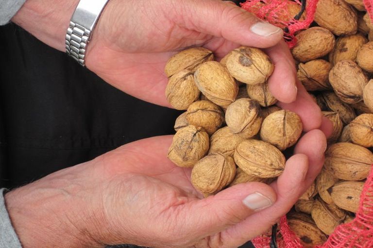 Photo of property in 101 Main North Road, Geraldine, 7930